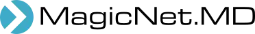 MagicNet